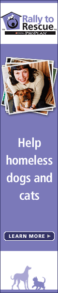 http://www.dobermanrescuegroup.org/common_images/r2r_120x600.gif
